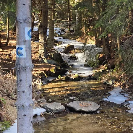 Апартаменты Luxusny Karolina *