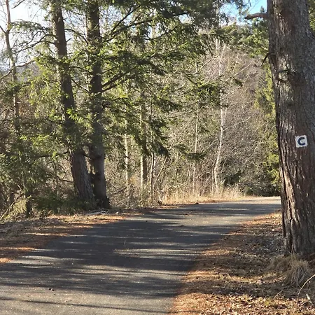 Luxusny Karolina * Telgárt