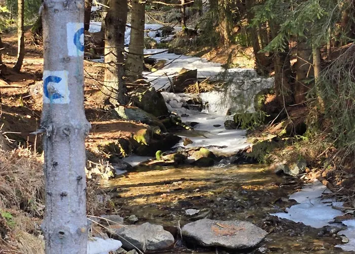 公寓 Luxusny Karolina *