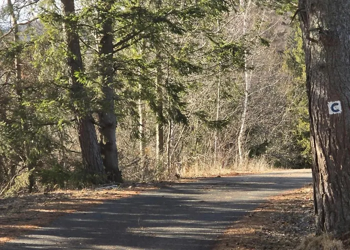 Luxusny Karolina * Telgárt