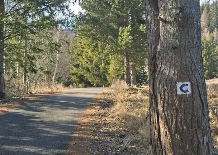 公寓 Luxusny Karolina Telgárt